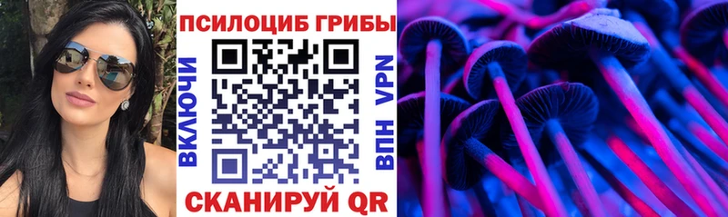 купить наркотики цена  Вытегра  MEGA как зайти  Псилоцибиновые грибы прущие грибы 